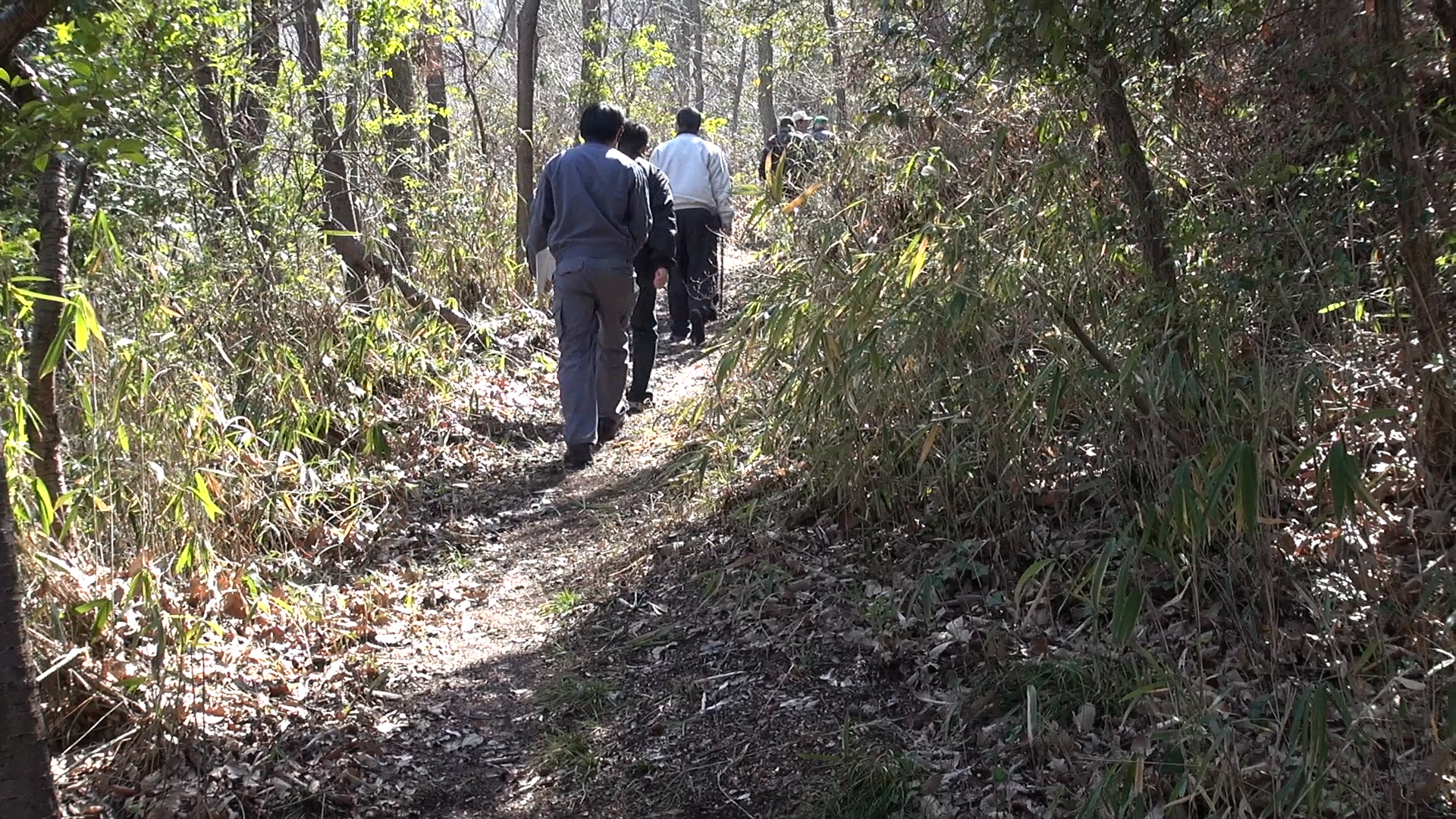 ここから険しい山道へ！